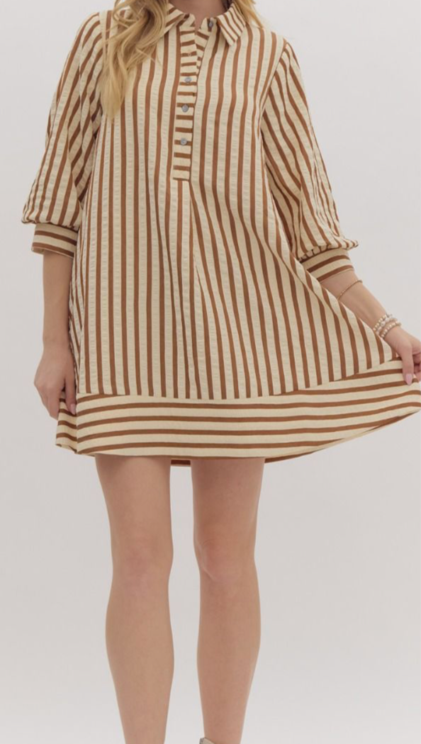 Striped Swing Dress