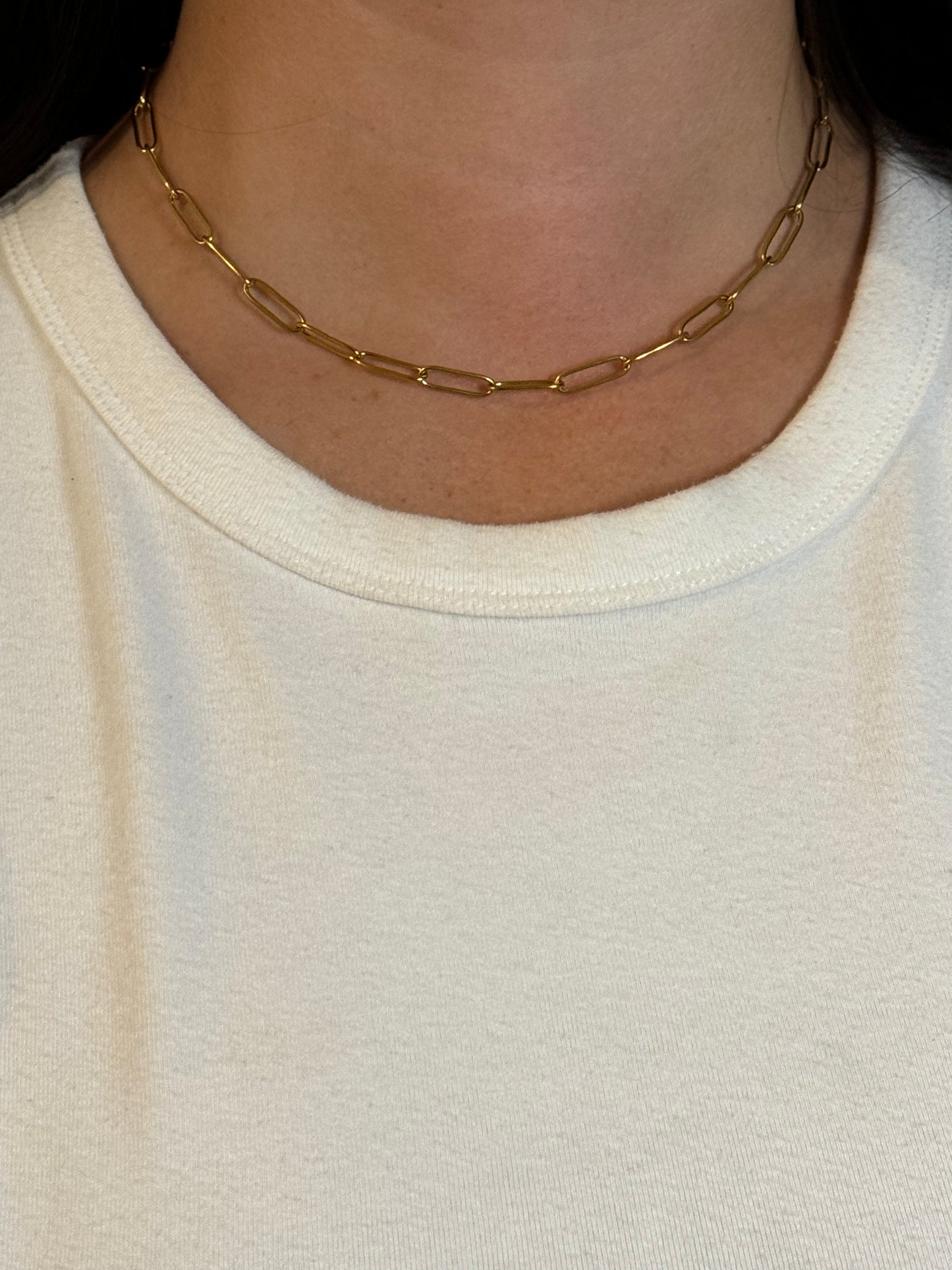 Sasha Gold Chain Necklace